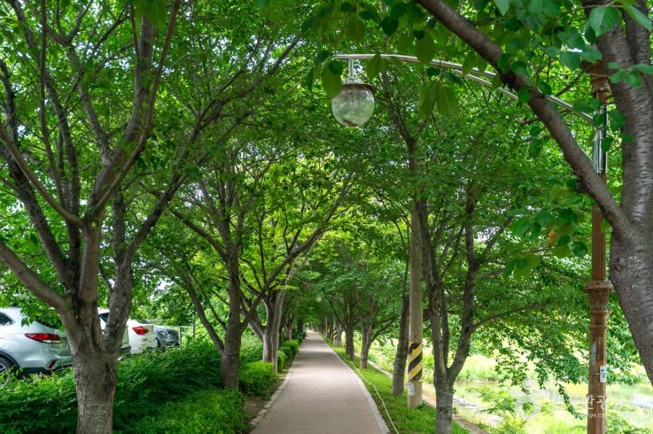 독봉산 웰빙공원 사진 2