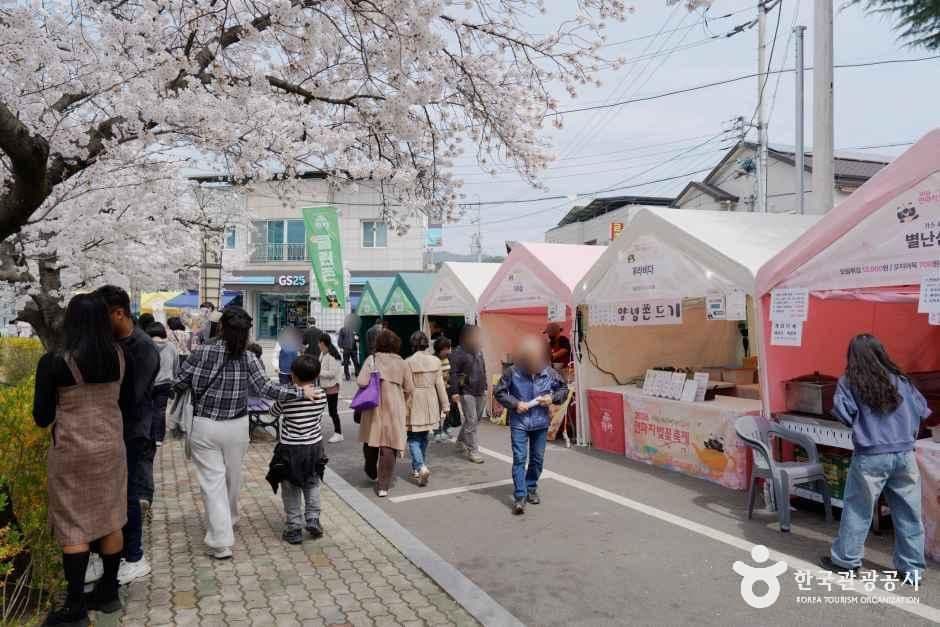 교동 연화지 사진 3