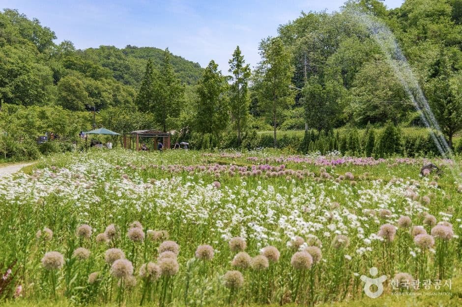 율곡수목원 사진 1