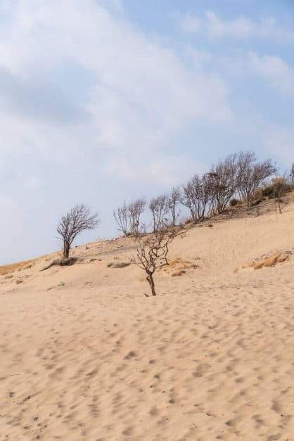 굴업도 사진 6