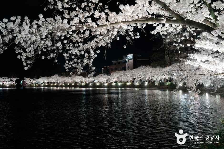 교동 연화지 사진 4