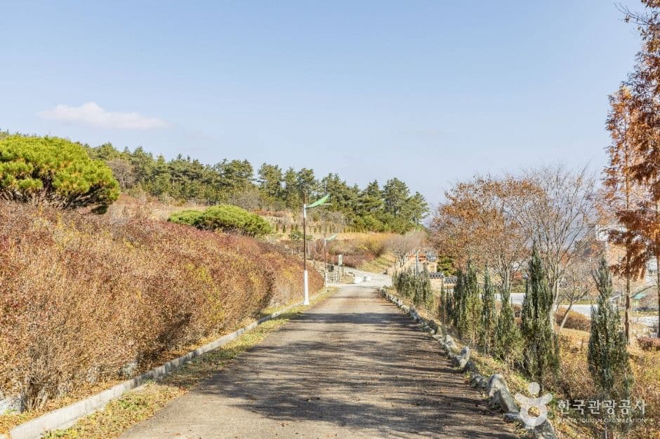고원화목원 사진 3