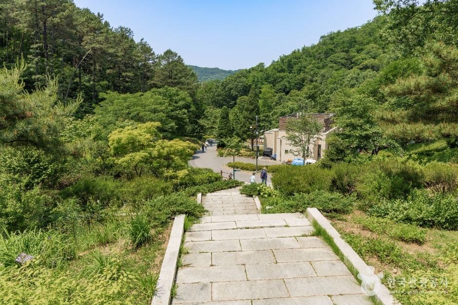 율곡수목원 사진 3