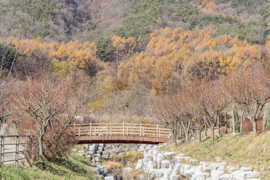 고원화목원 사진 4