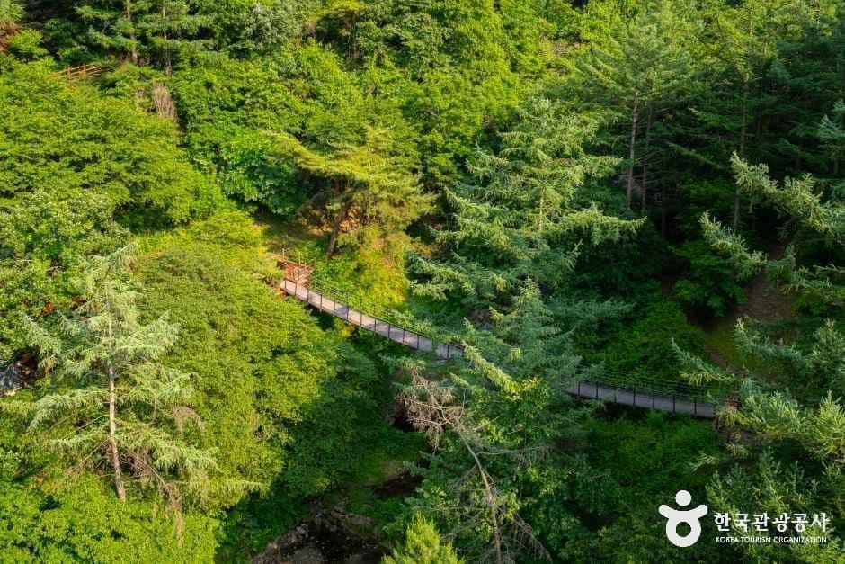 좌구산 자연휴양림 사진 7