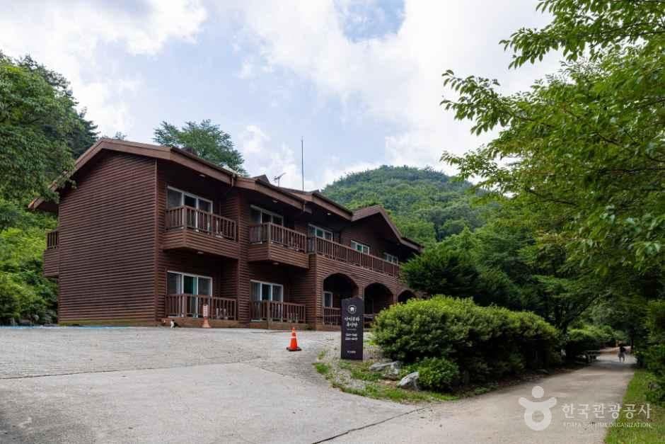 국립용현자연휴양림 사진 2