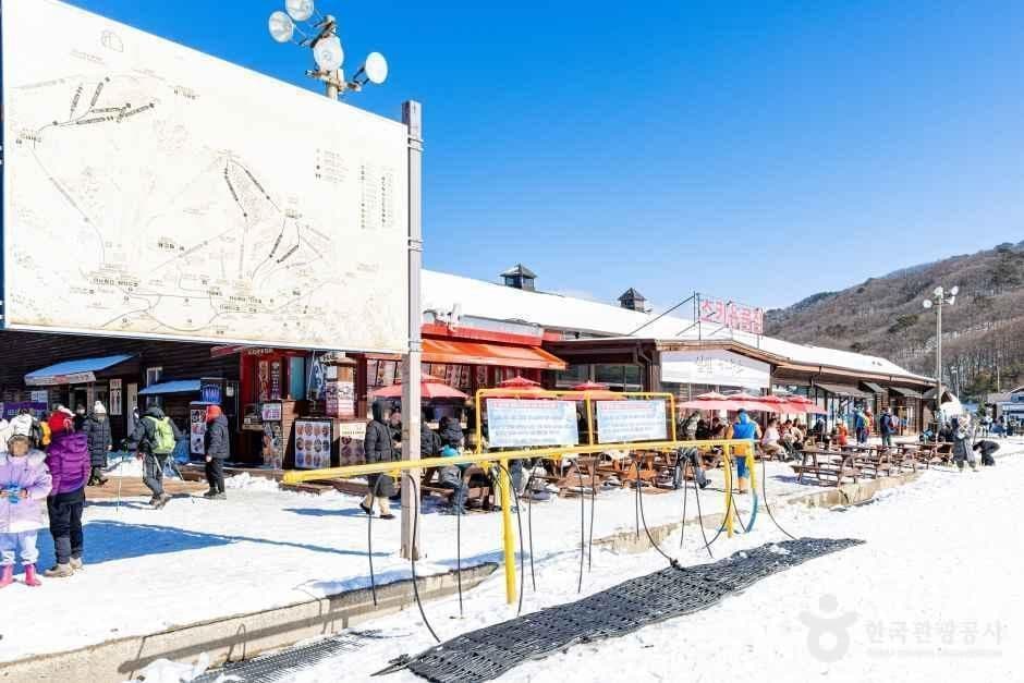 무주덕유산리조트 스키장 사진 5
