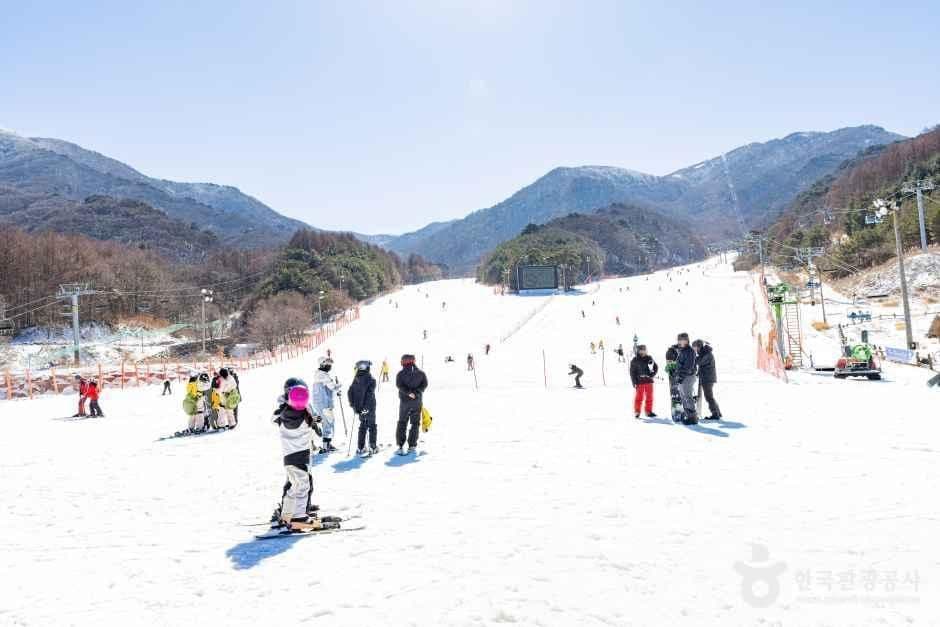 무주덕유산리조트 스키장 사진 6