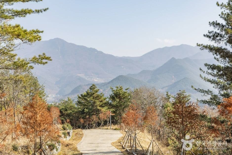 고원화목원 사진 7