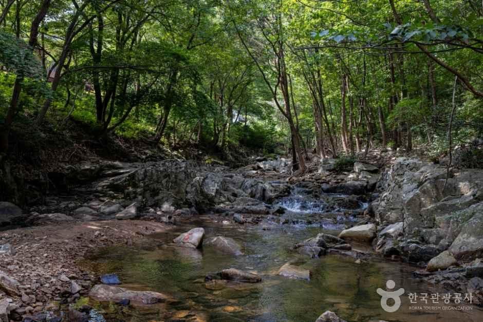 국립용현자연휴양림 사진 5