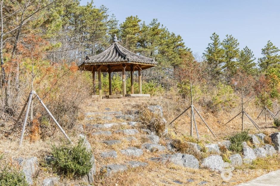 고원화목원 사진 8