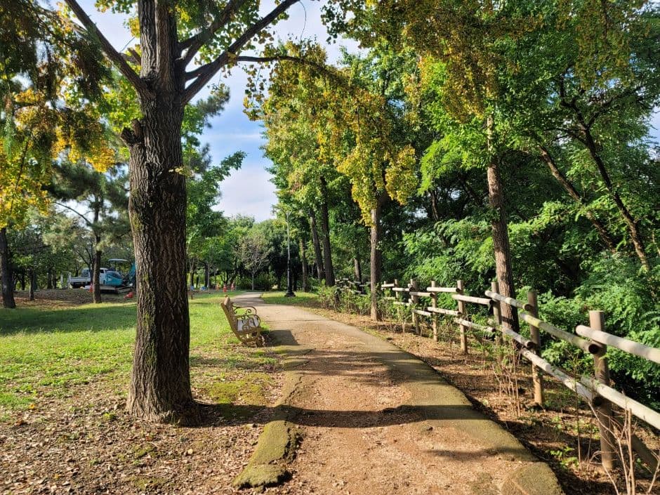 해맞이공원(대구) 사진 3