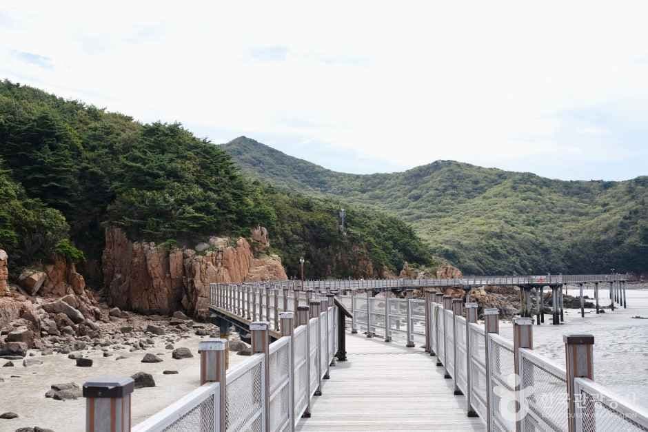 하나개해수욕장 사진 4