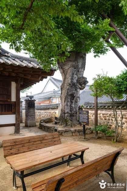 나주 목사내아 사진 3