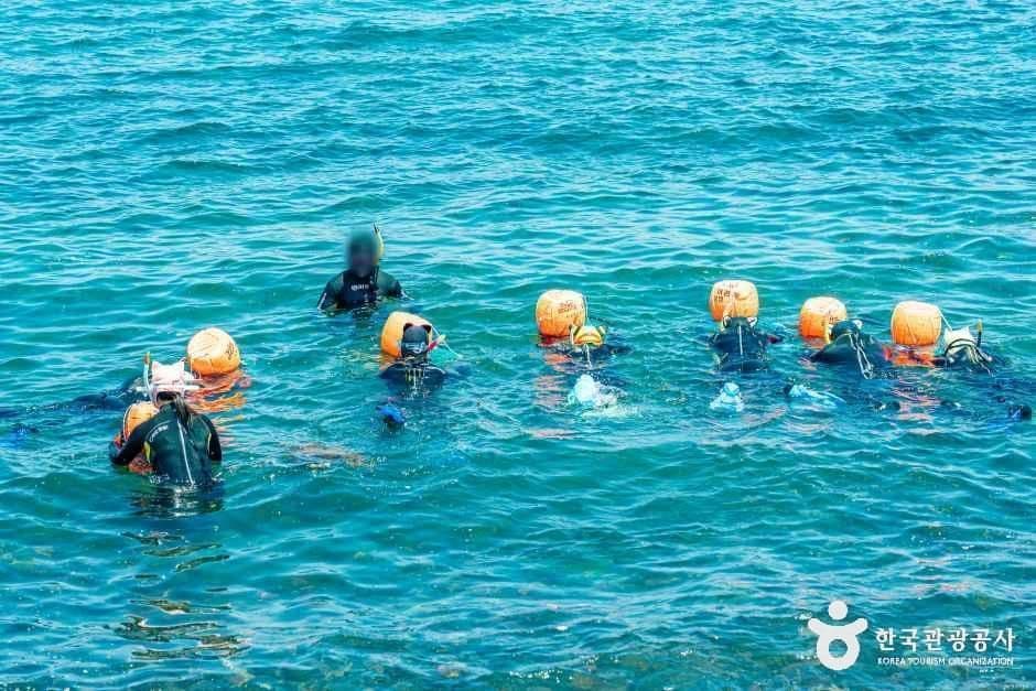 도시해녀 사진 6