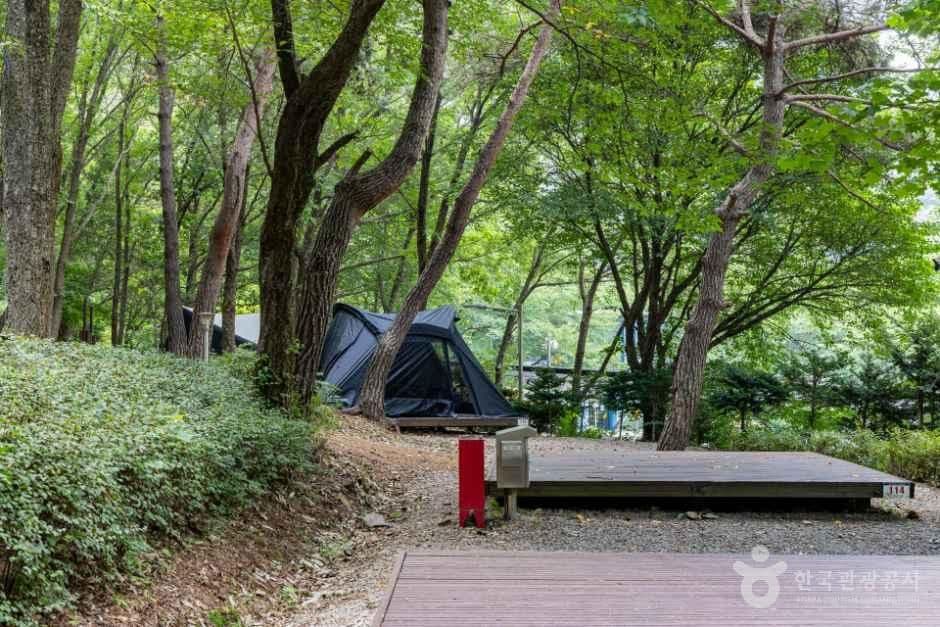 국립용현자연휴양림 사진 7