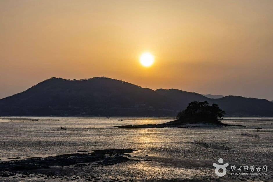 와온해변 사진 7