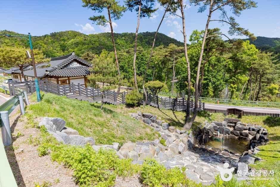 속리산 숲체험휴양마을 사진 1