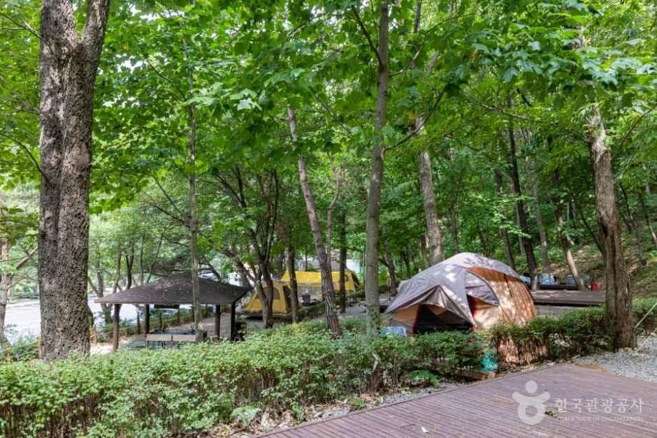국립용현자연휴양림 사진 8