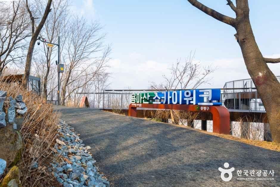 용마산 스카이워크 사진 5