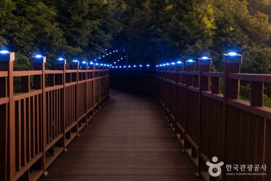봉래산(부산) 사진 4