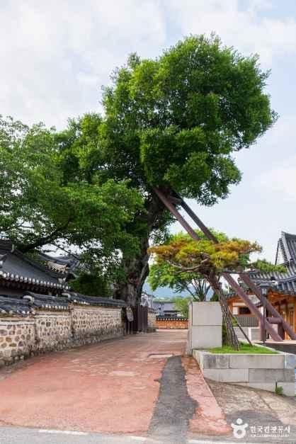 나주 목사내아 사진 5