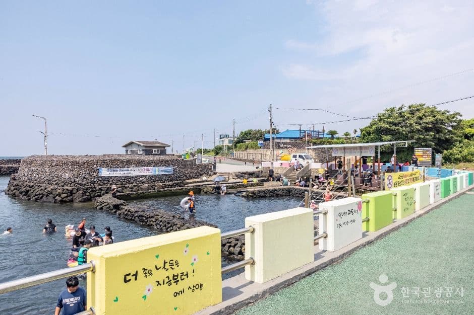 샛도리물 사진 1