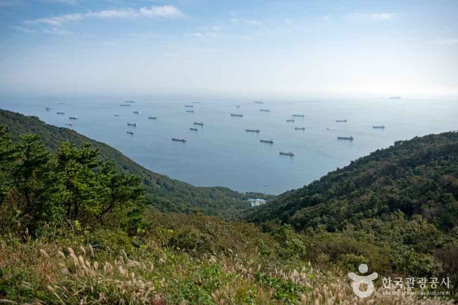 봉래산(부산) 사진 6