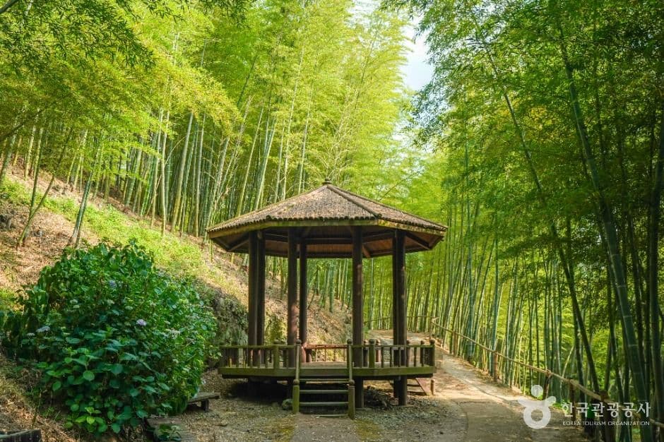 거제맹종죽테마공원 사진 1