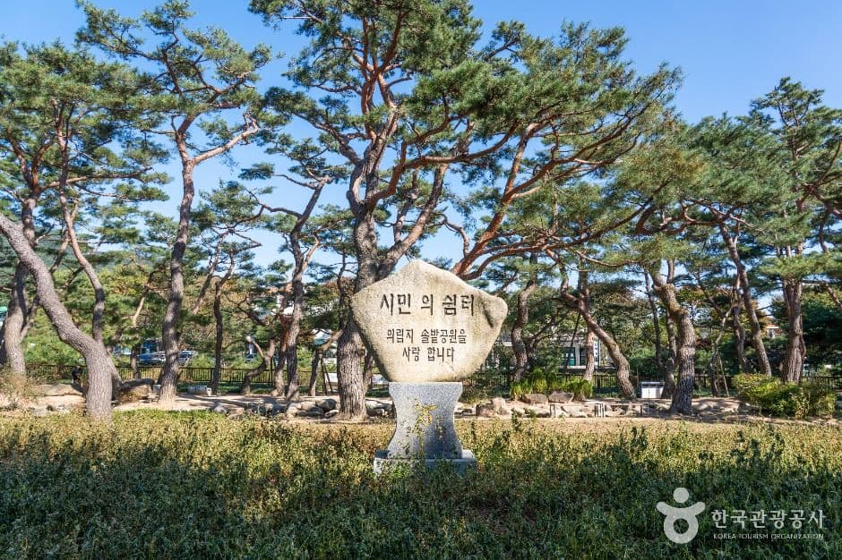 의림지 솔밭공원 사진 1