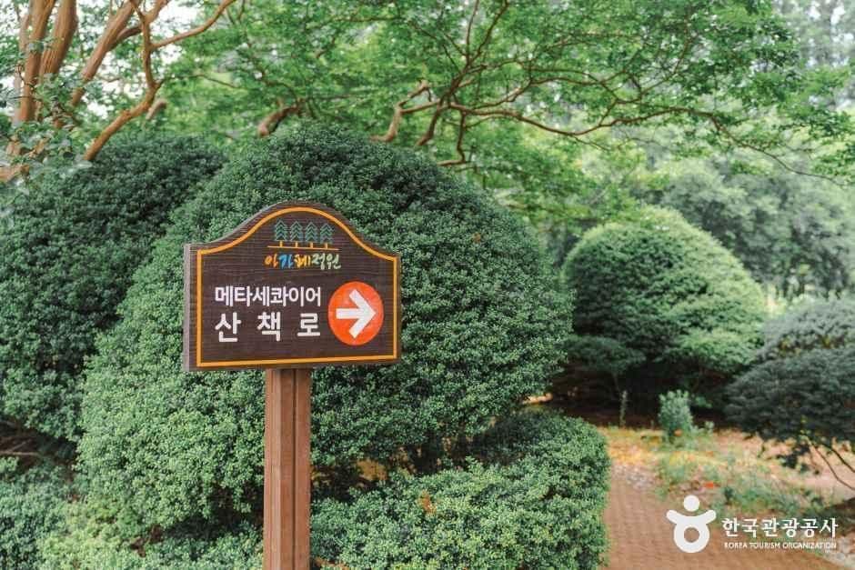 아가페정원 사진 1