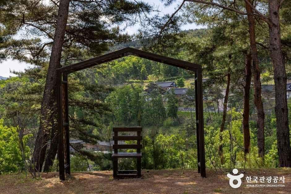속리산 숲체험휴양마을 사진 5