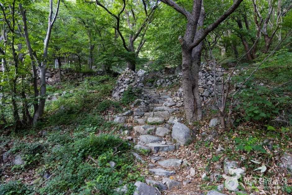 봉래산(부산) 사진 8