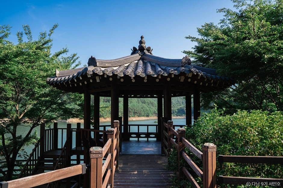 제암산자연휴양림 사진 1