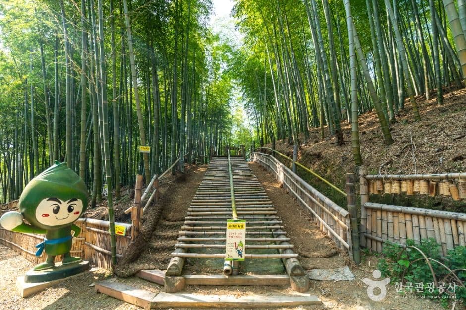 거제맹종죽테마공원 사진 3