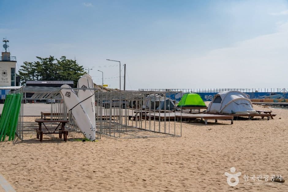 천진해변 사진 5