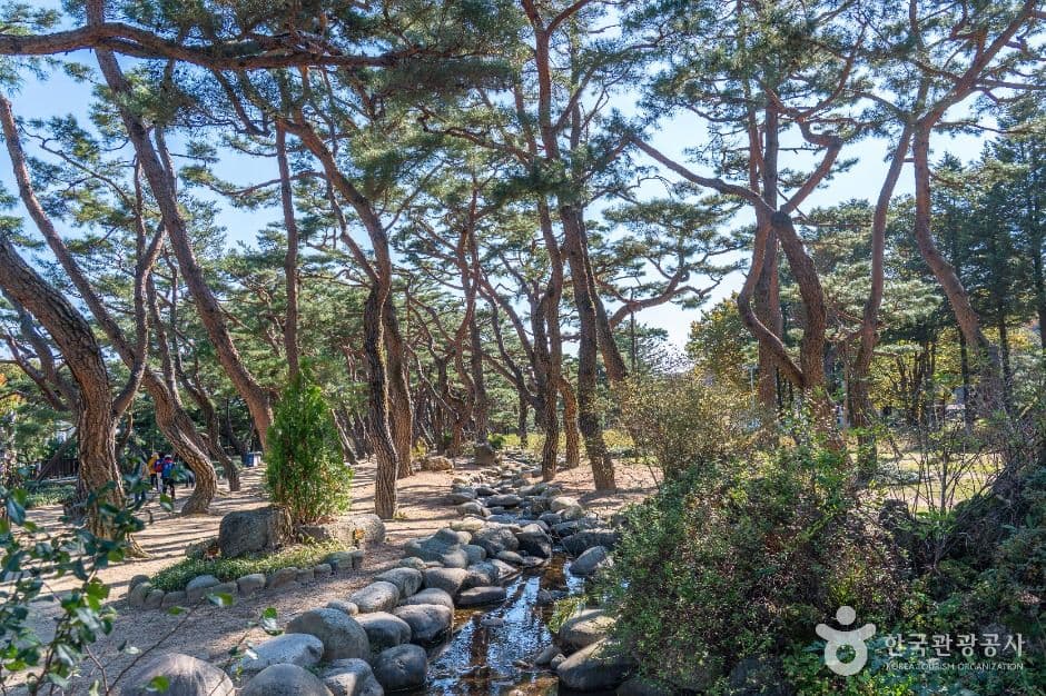 의림지 솔밭공원 사진 3