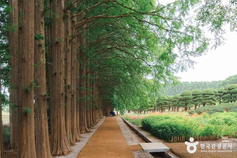 아가페정원 사진 3