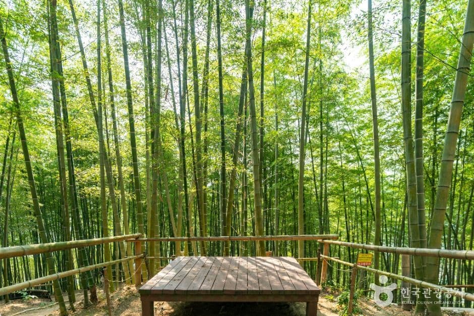거제맹종죽테마공원 사진 4