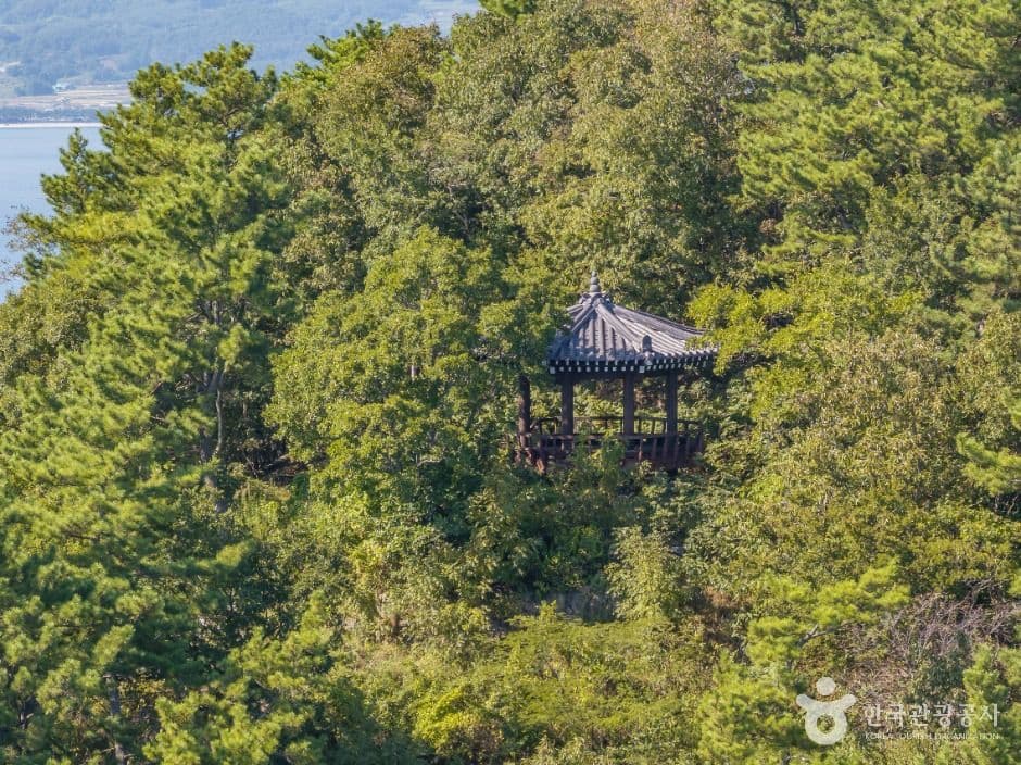 노도 사진 8