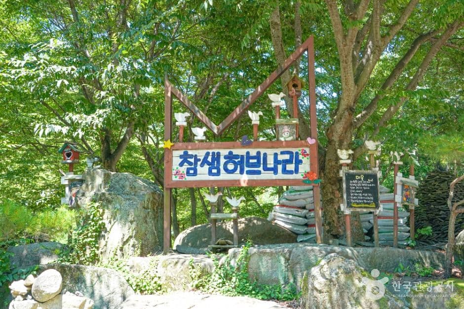 참샘허브나라 사진 1