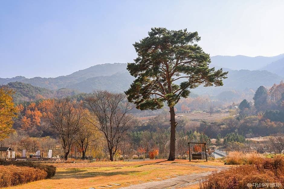 국립백두대간수목원 사진 2