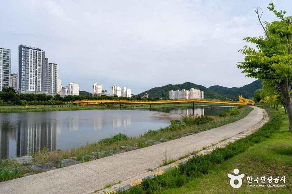 황룡강 생태공원
