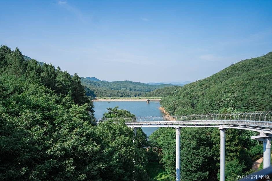 제암산자연휴양림 사진 3