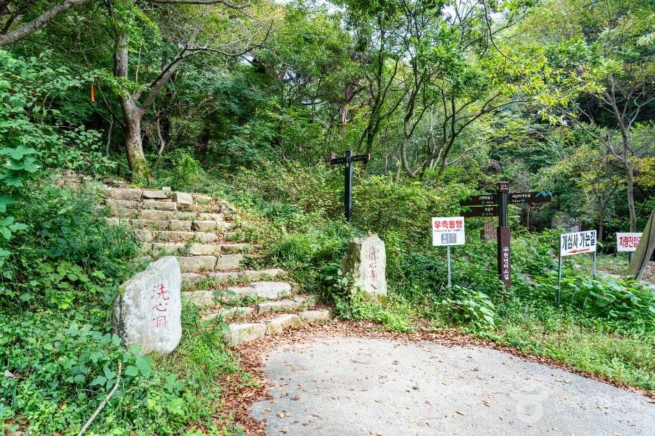 개심사 가는 길 사진 1