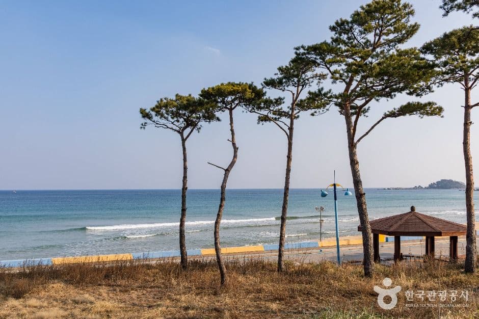 초도해변 사진 1
