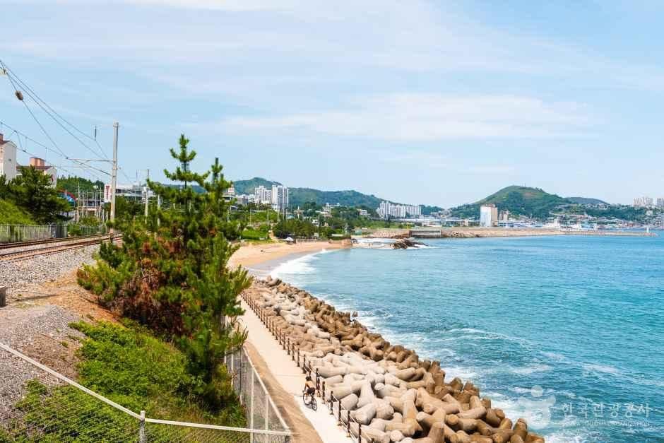 하평해변(동해) 사진 3