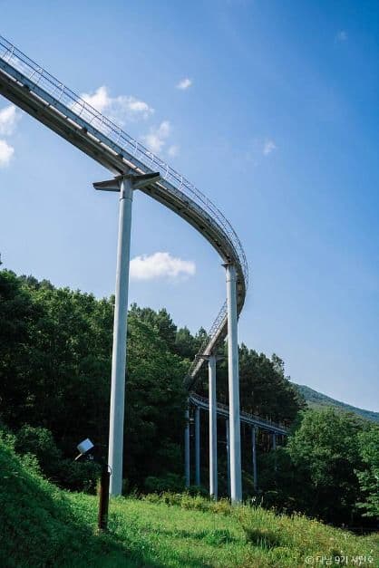 제암산자연휴양림 사진 5