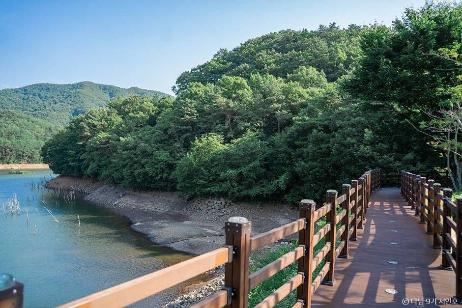 제암산자연휴양림 사진 6