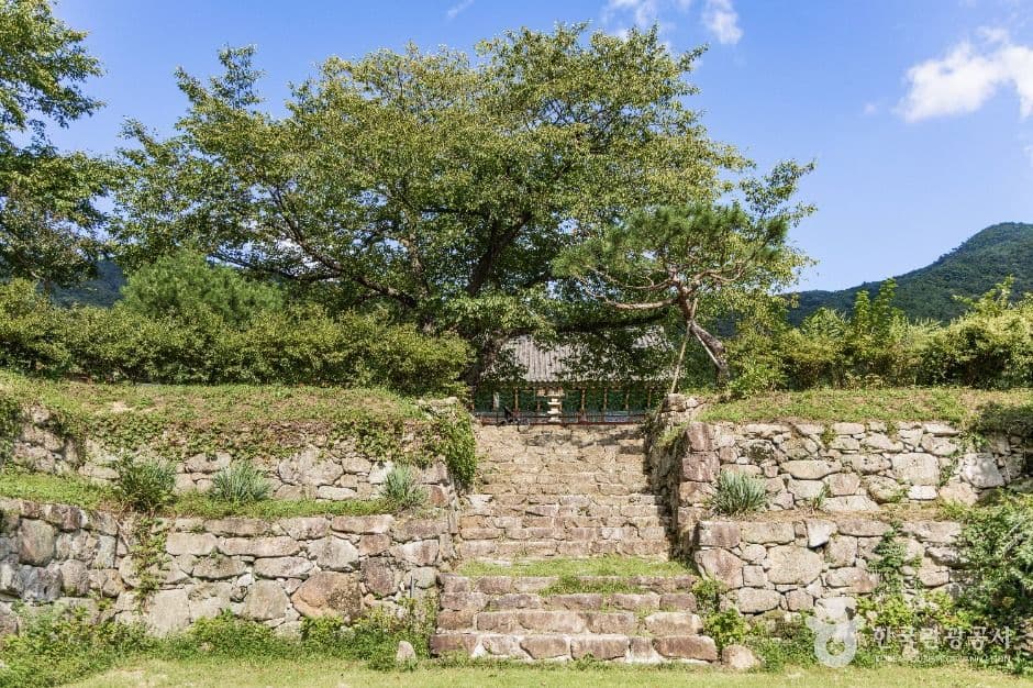 신안사(금산) 사진 4